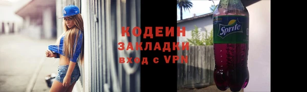 прущие грибы Нестеровская