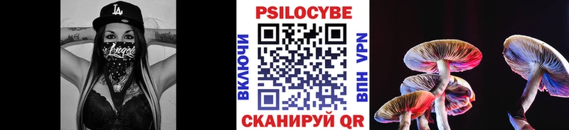 Галлюциногенные грибы GOLDEN TEACHER  МЕГА онион  Новочебоксарск  хочу наркоту 