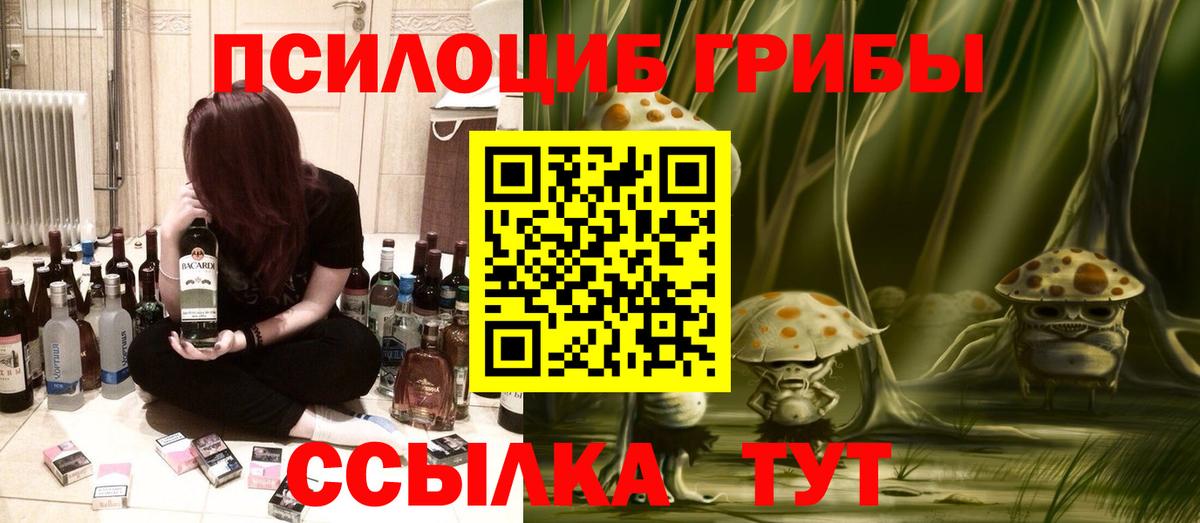 Новочебоксарск  Галлюциногенные грибы прущие грибы  Вход с VPN 